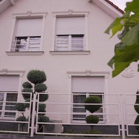Vivo House Panzió Marosvásárhely Kültér fotó